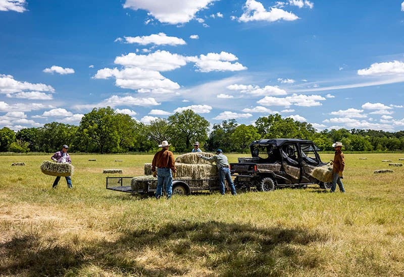 2023 Honda Pioneer 1000-6 Deluxe Crew - media 8
