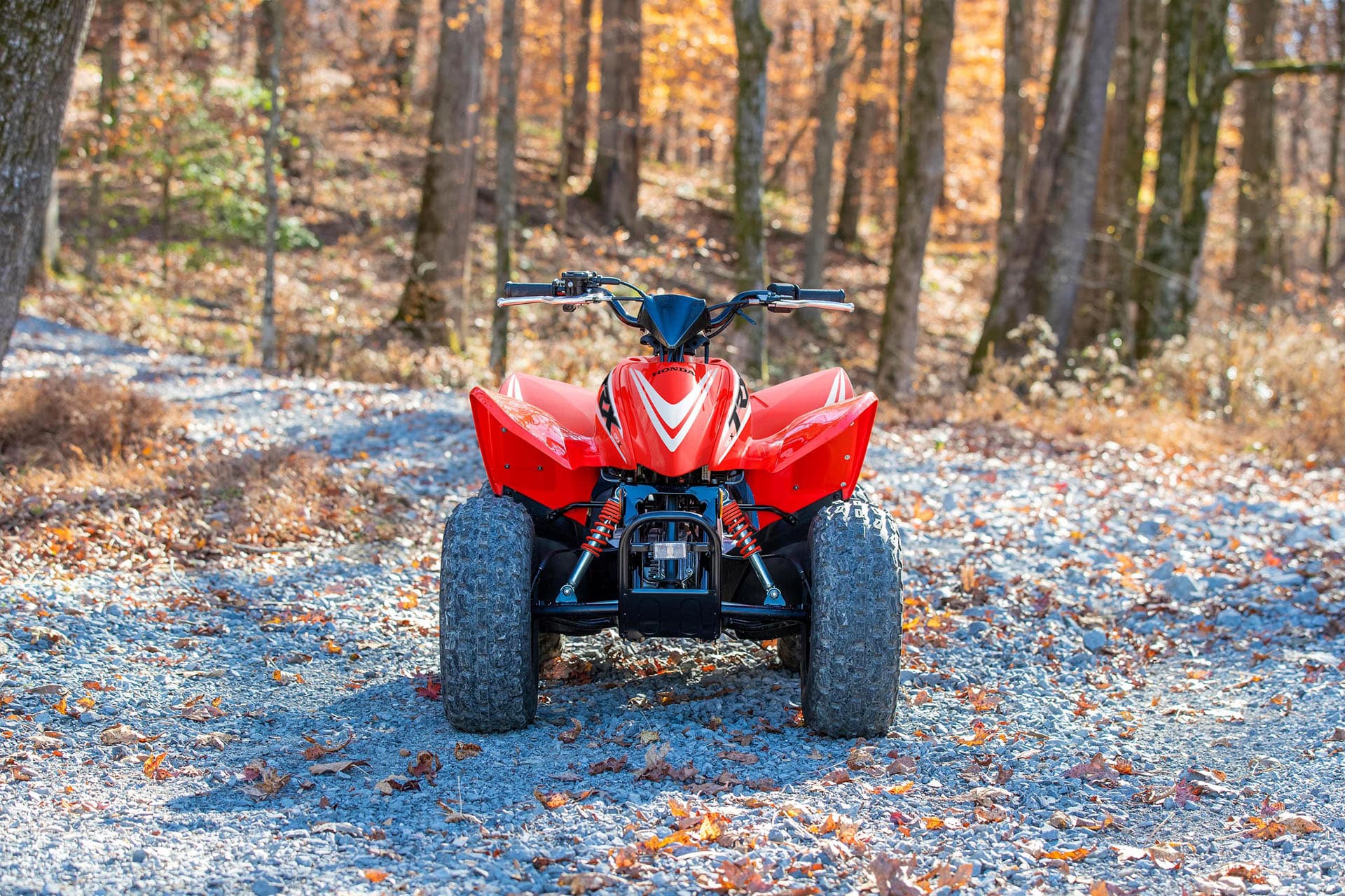 2026 Honda TRX90X - media 5