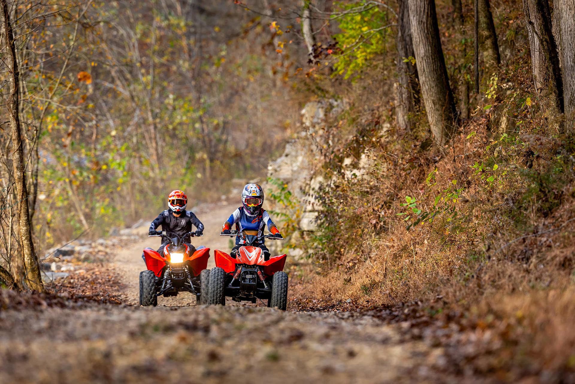 2026 Honda TRX90X - media 9