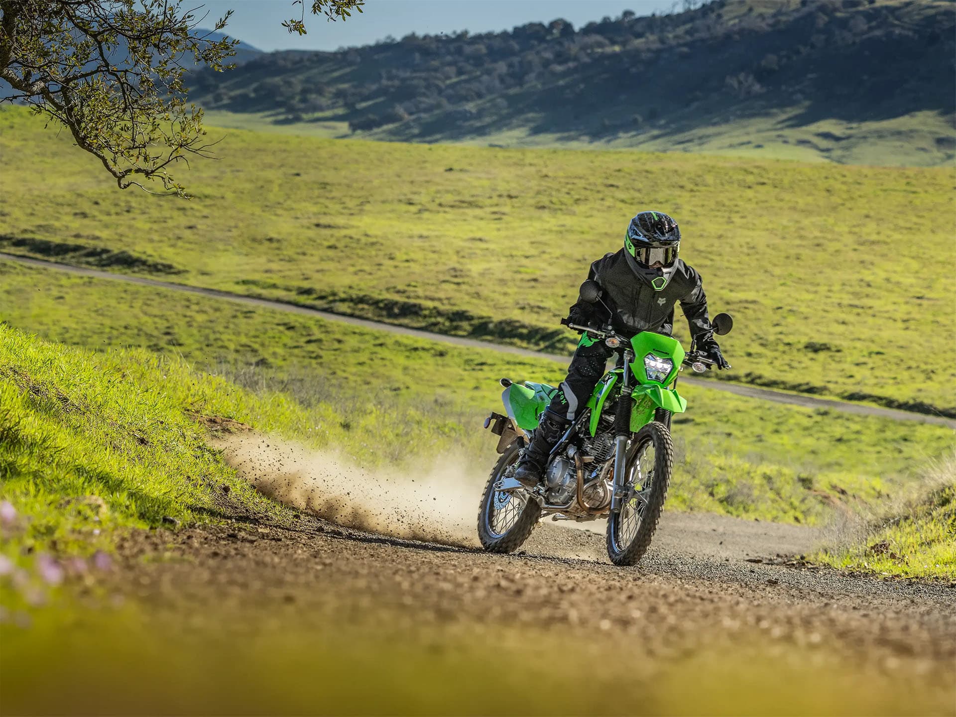 2026 Kawasaki KLX 230 S - media 6