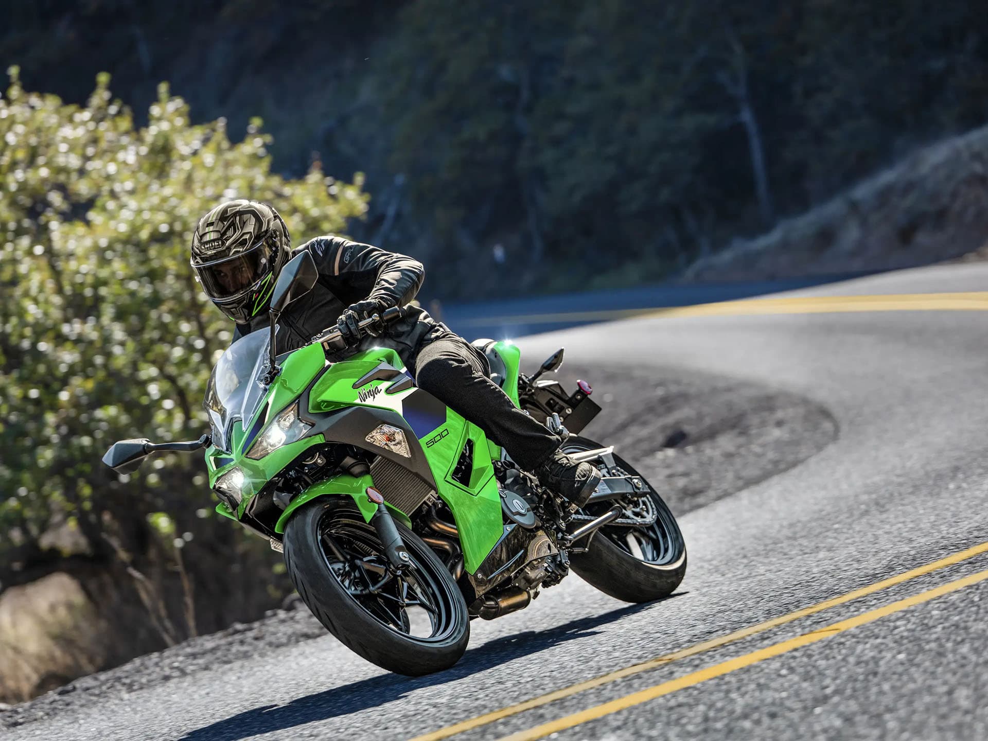 2026 Kawasaki Ninja 500 - media 5