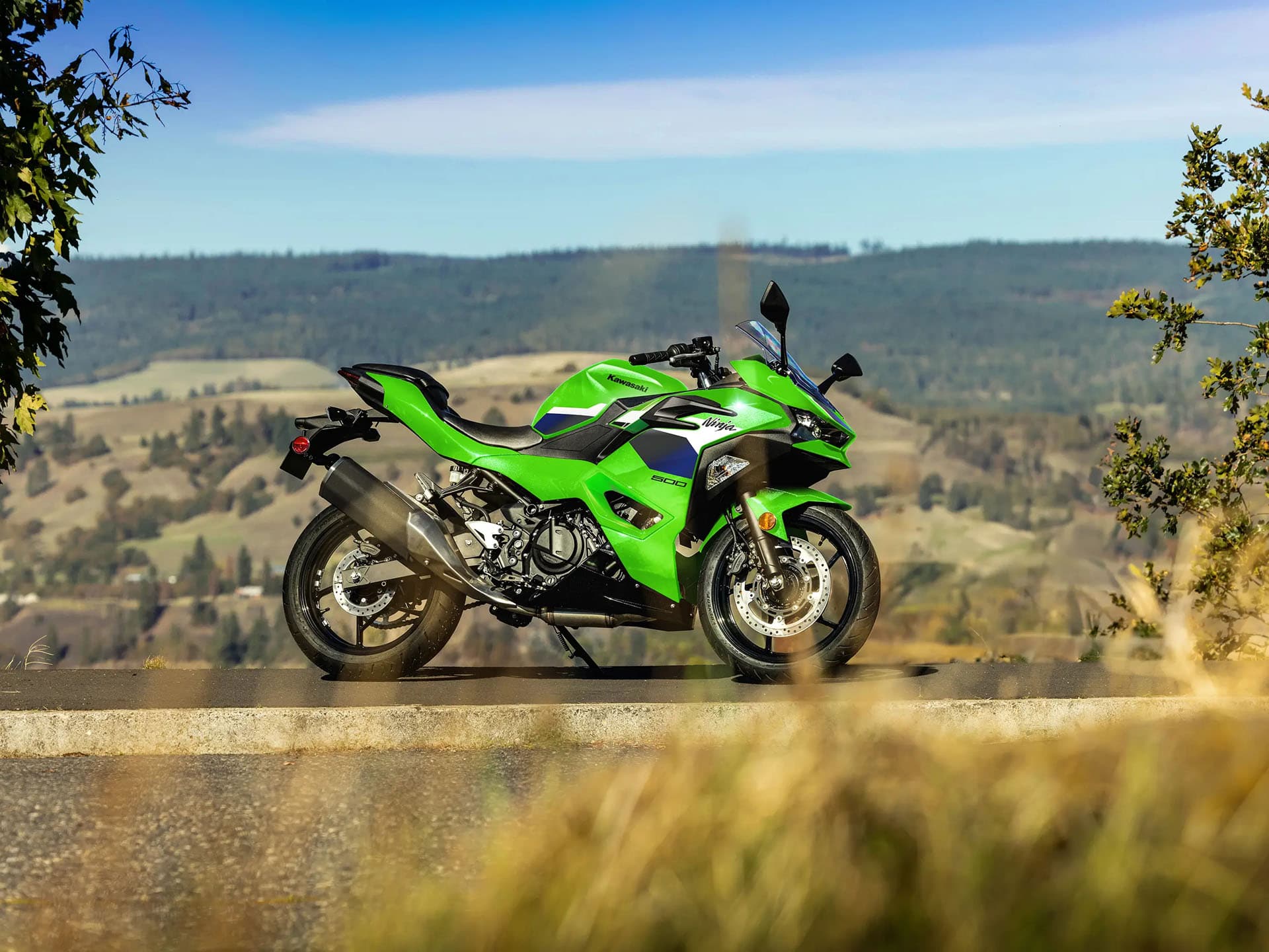 2026 Kawasaki Ninja 500 - media 8