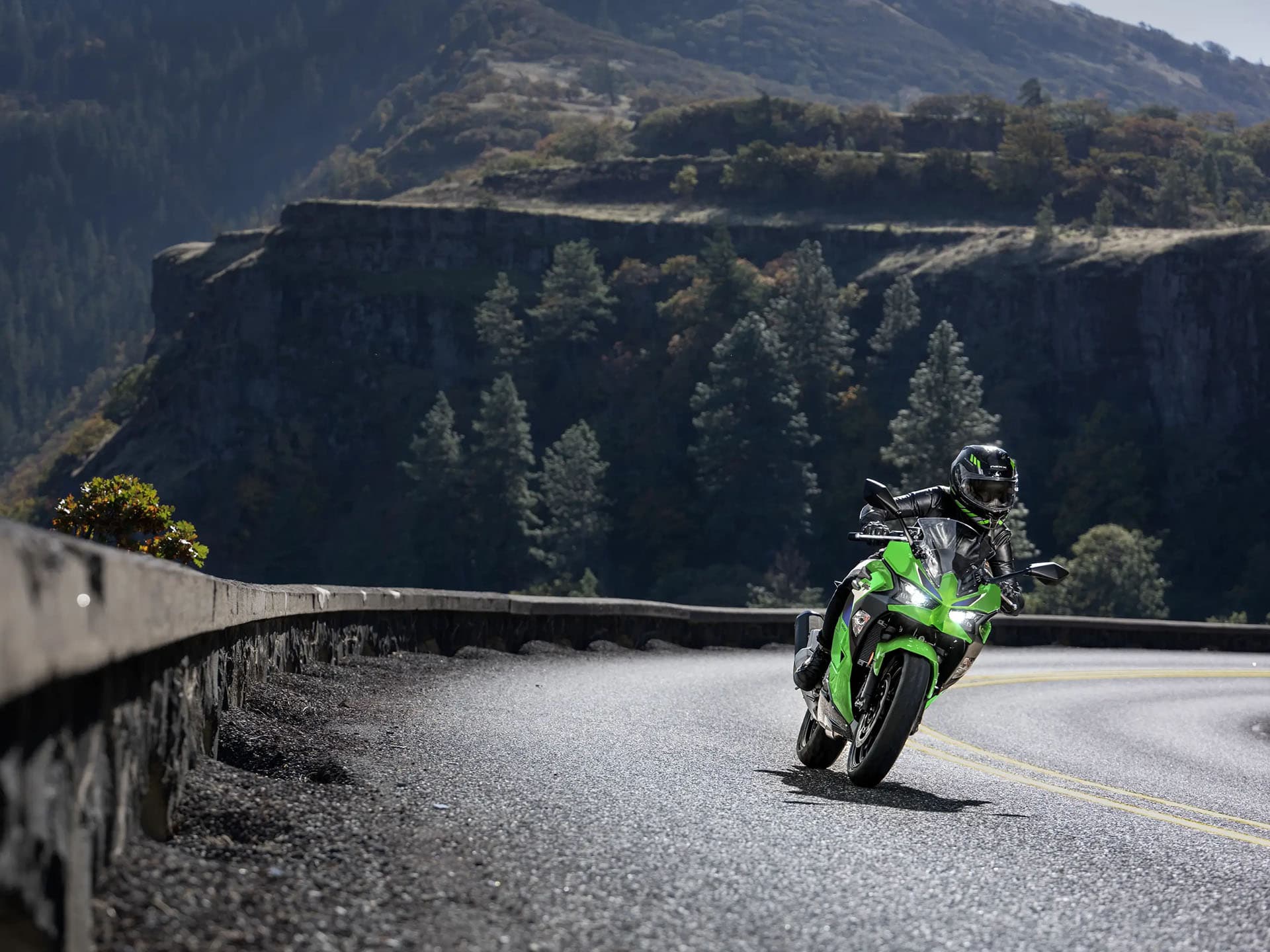 2026 Kawasaki Ninja 500 - media 6