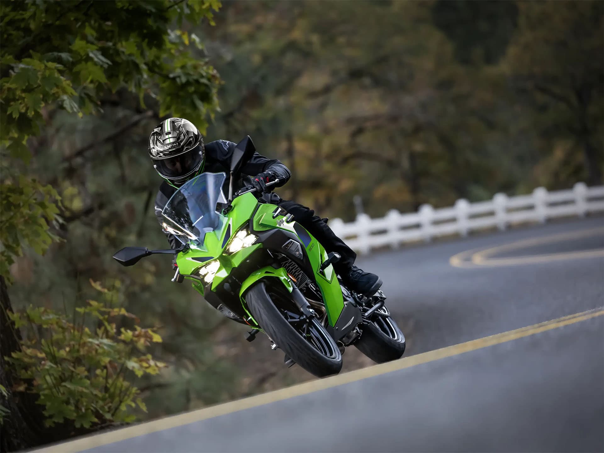 2026 Kawasaki Ninja 500 SE ABS - media 6