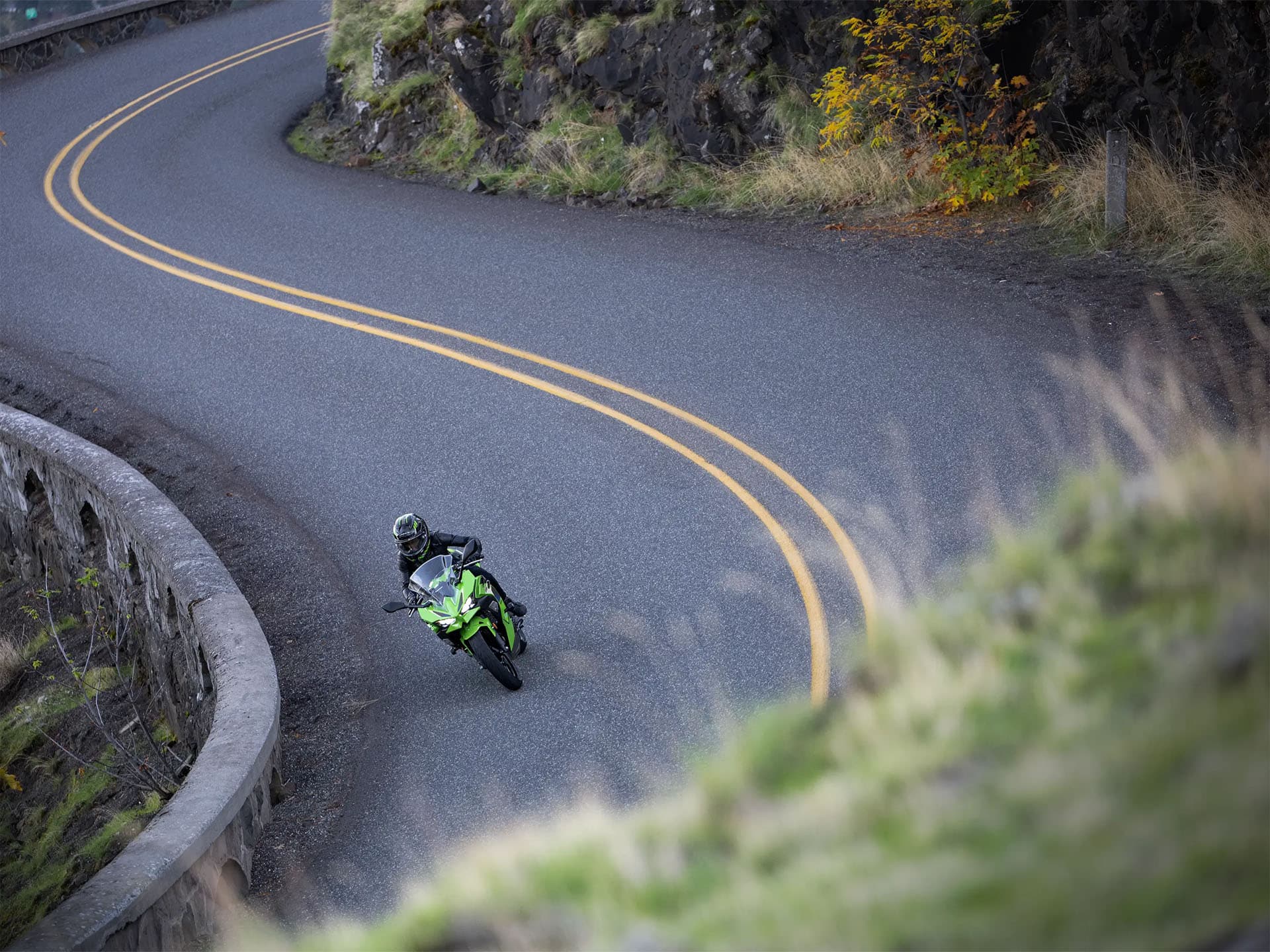 2026 Kawasaki Ninja 500 SE ABS - media 7