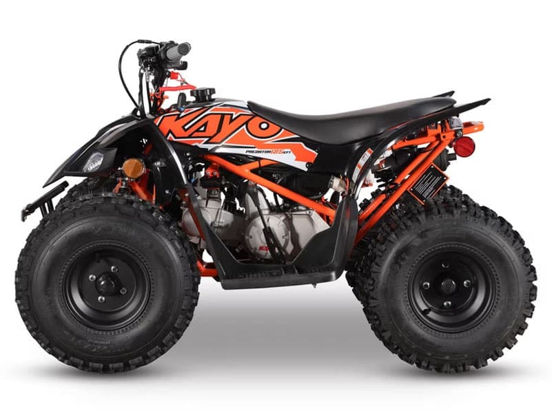 2026 Kayo Predator 125 EFI - media 2