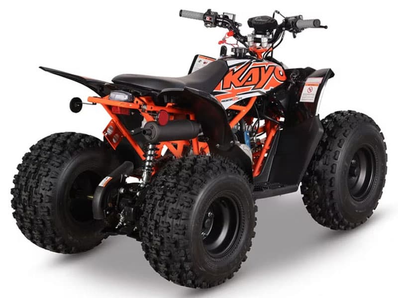 2026 Kayo Predator 125 EFI - media 6