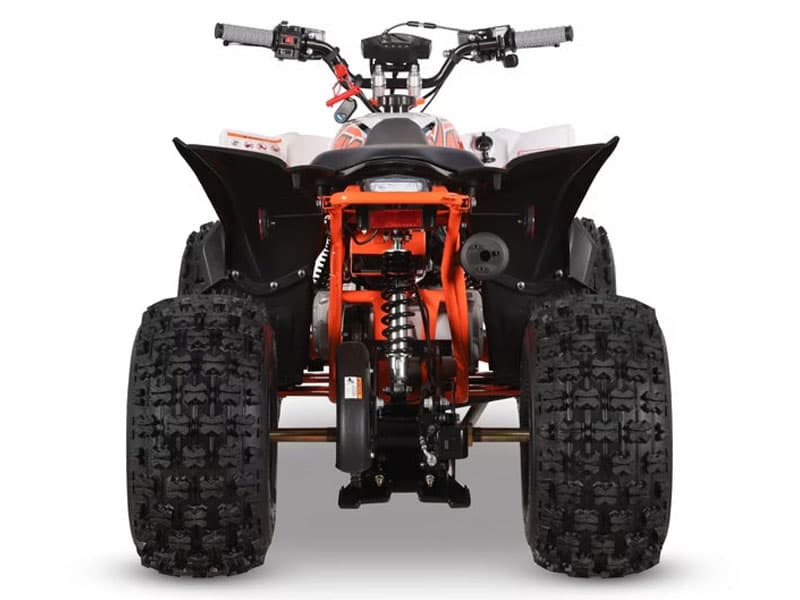 2026 Kayo Predator 125 EFI - media 8