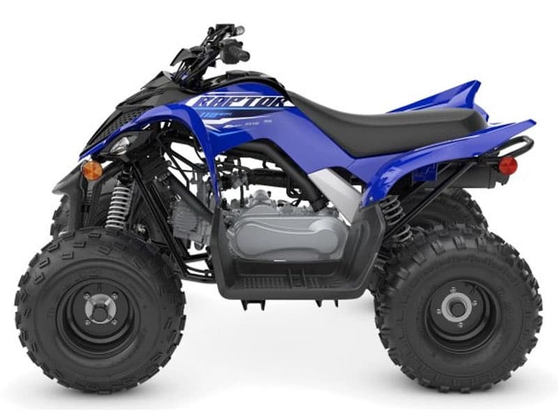 2026 Yamaha Raptor 110 - media 2