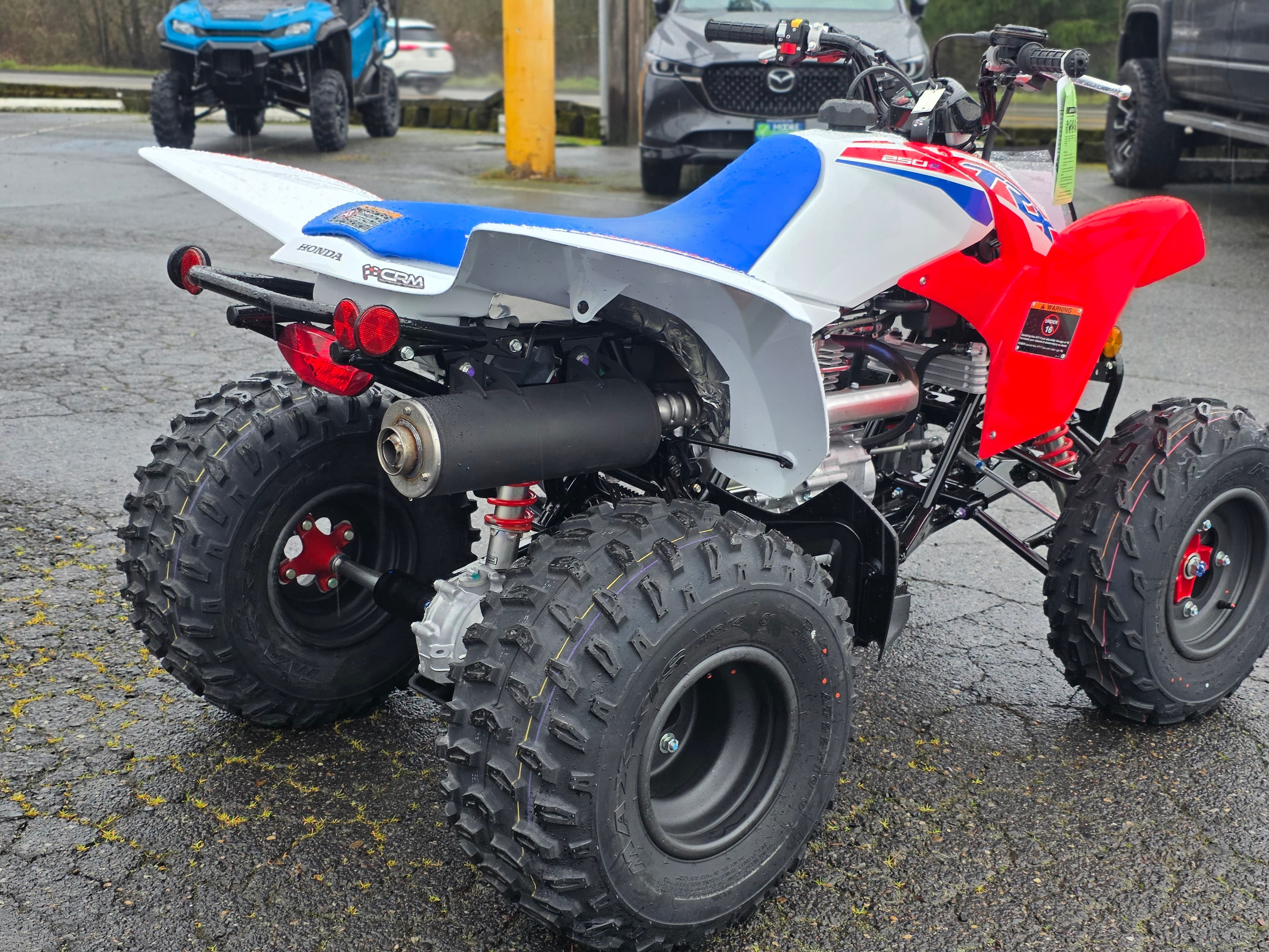 2026 Honda TRX250X - media 6