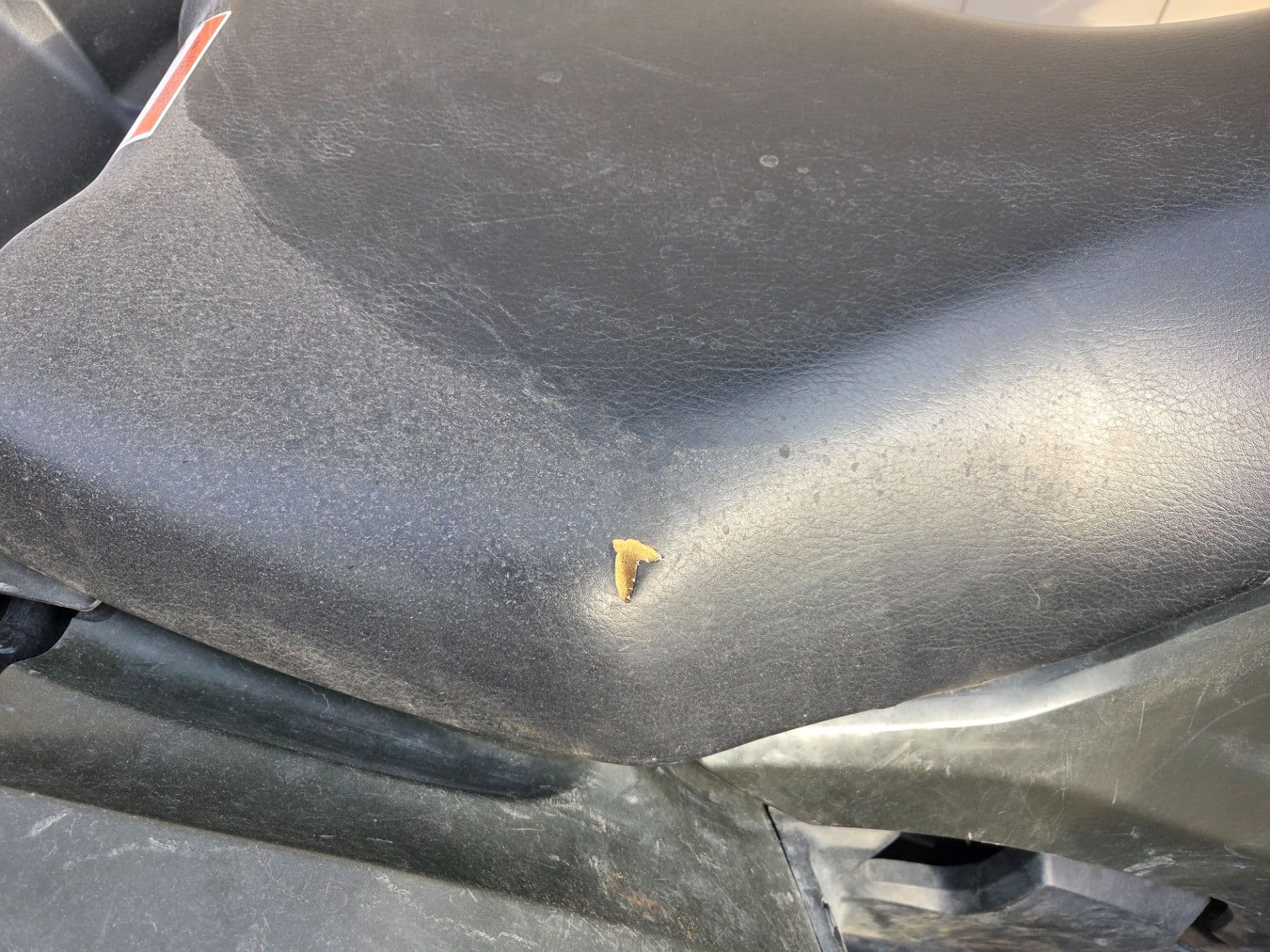 2024 Honda FourTrax Rancher 4x4 Automatic DCT IRS - media 10